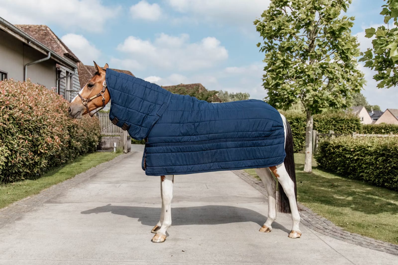 Kentucky Under Rug Skin Friendly w/Neck