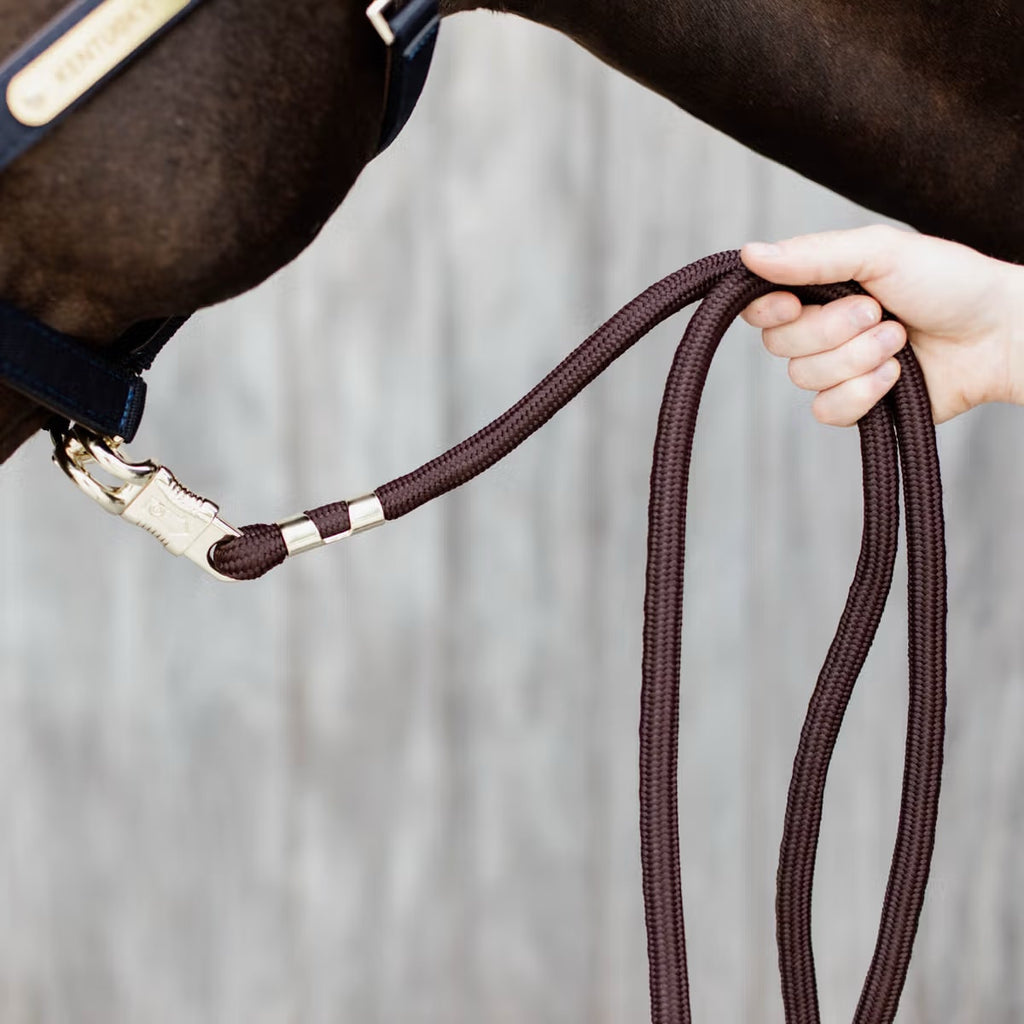 Kentucky Lead Rope Panic Hook