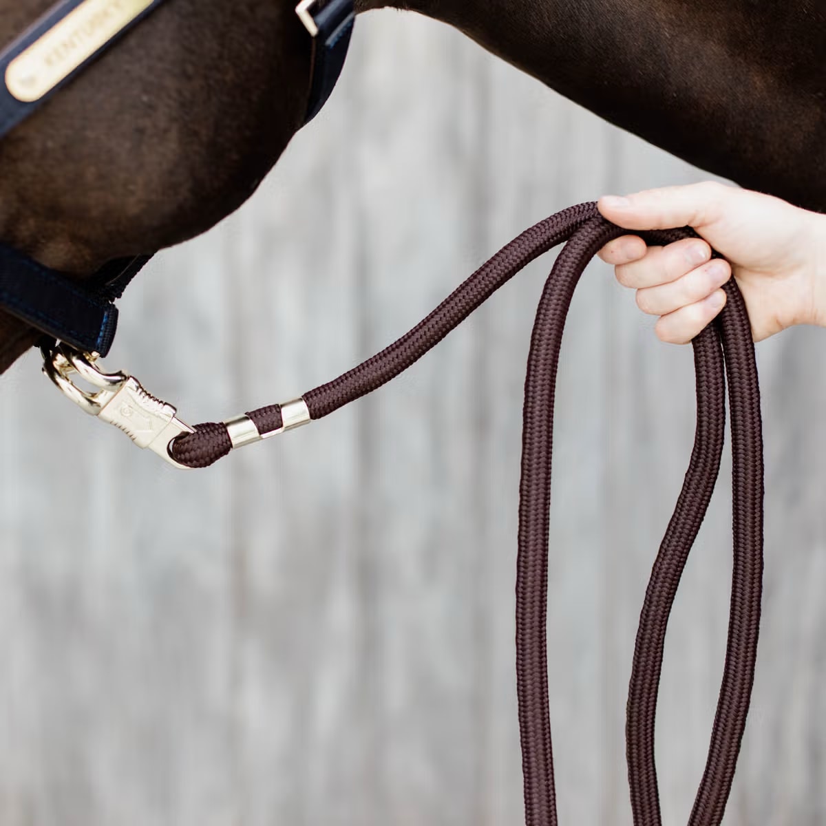 Kentucky Lead Rope Panic Hook