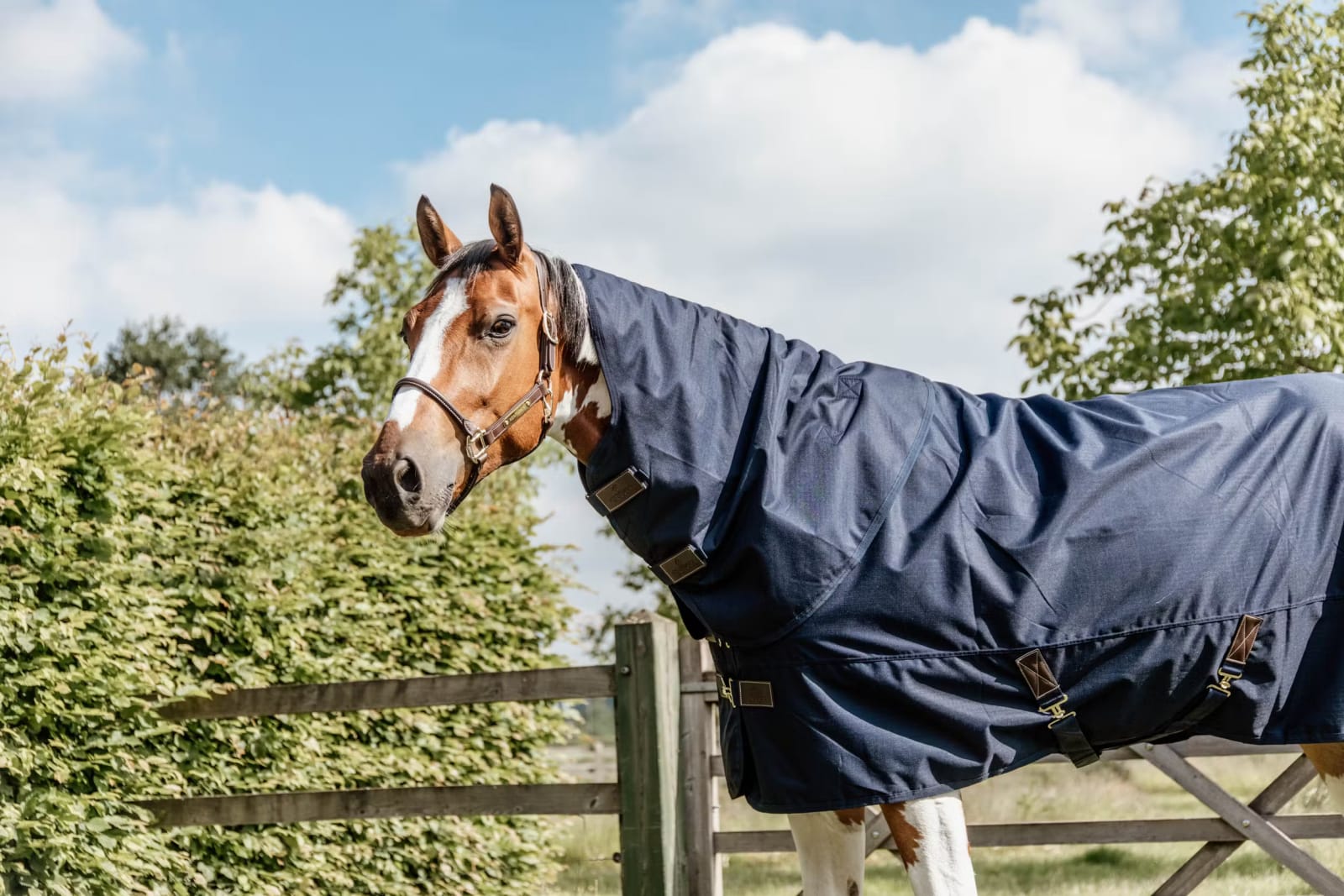 Kentucky Turnout Rug All Weather Quick Dry Fleece w/Neck - Løwenborg - Kentucky Horsewear