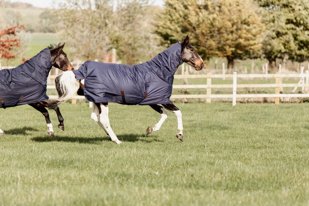Kentucky Turnout Rug All Weather Quick Dry Fleece w/Neck - Løwenborg - Kentucky Horsewear