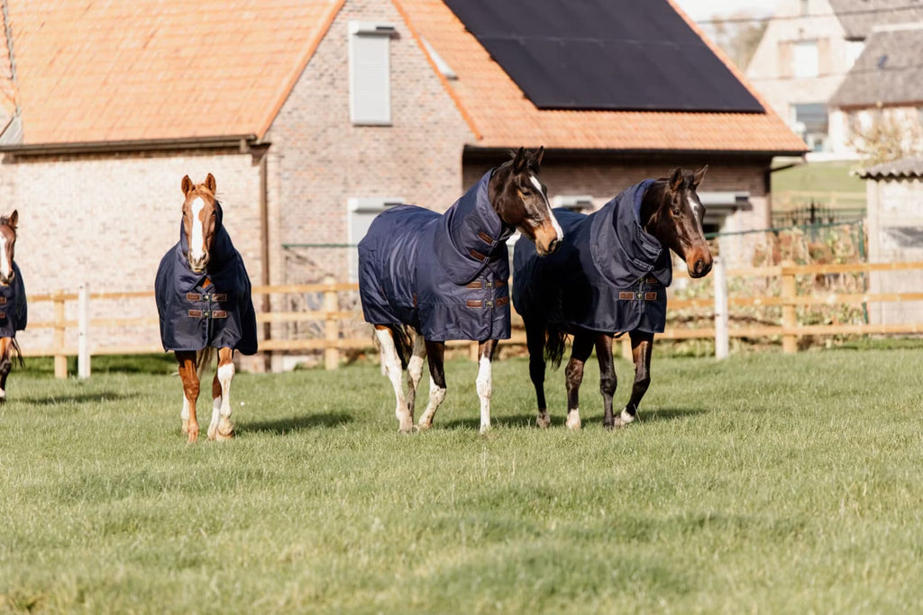 Kentucky Turnout Rug All Weather Quick Dry Fleece w/Neck - Løwenborg - Kentucky Horsewear