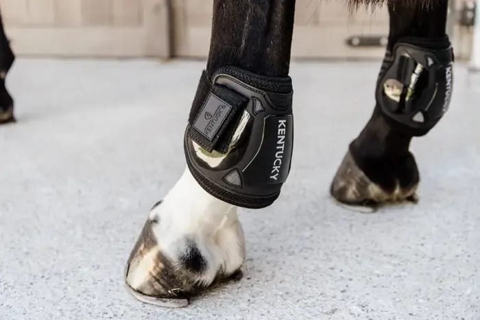 Kentucky Moonboots Air Velcro - Løwenborg - Kentucky Horsewear