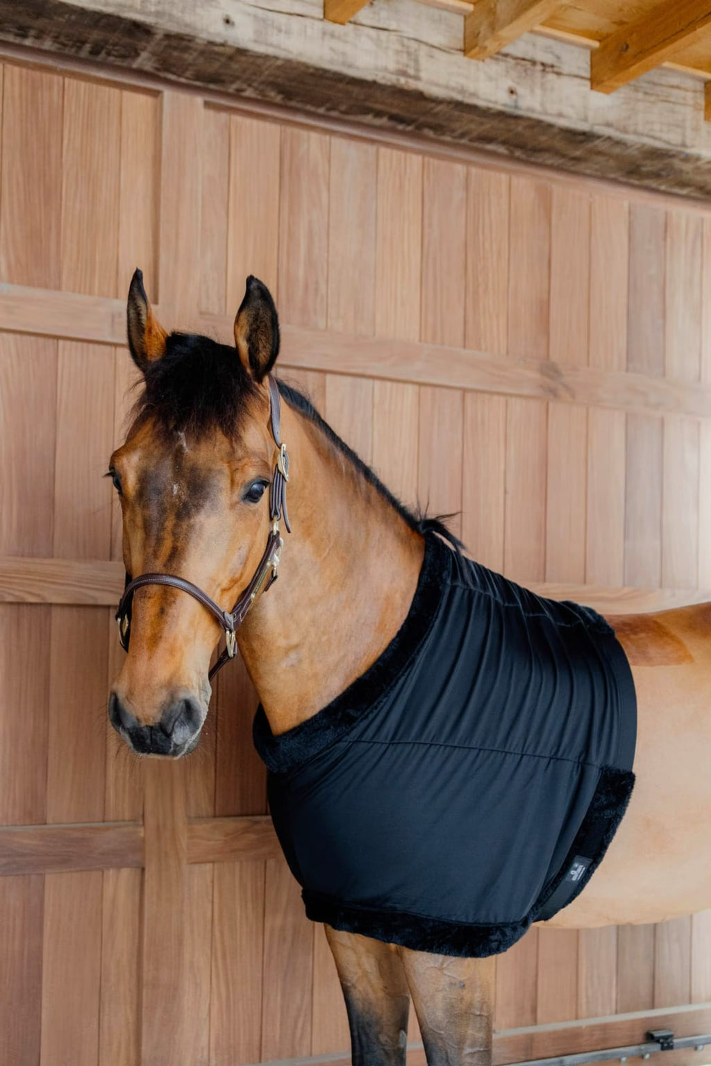 Kentucky Chest Protection - Løwenborg - Kentucky Horsewear