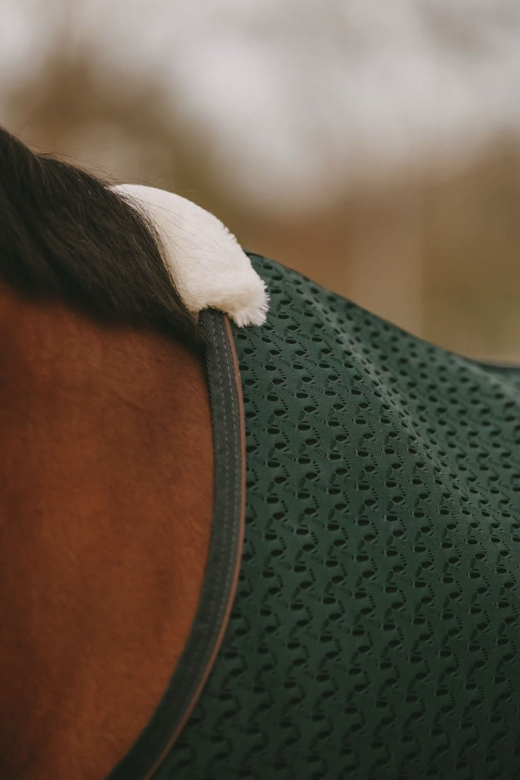 Kentucky 4d Spacer Cooler Sheet - Løwenborg - Kentucky Horsewear