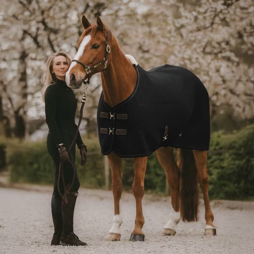 Kentucky 4d Spacer Cooler Sheet - Løwenborg - Kentucky Horsewear