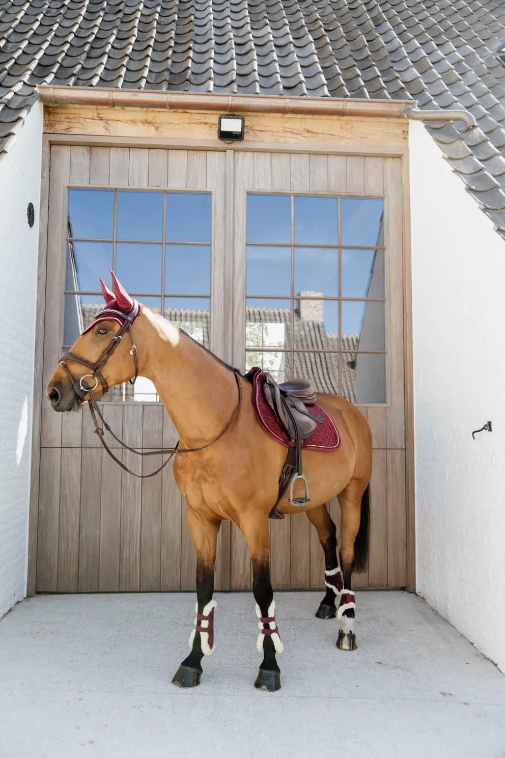 Kentucky Vegan Sheepskin Young Horse Fetlock Boots Velvet - Løwenborg - Kentucky Horsewear