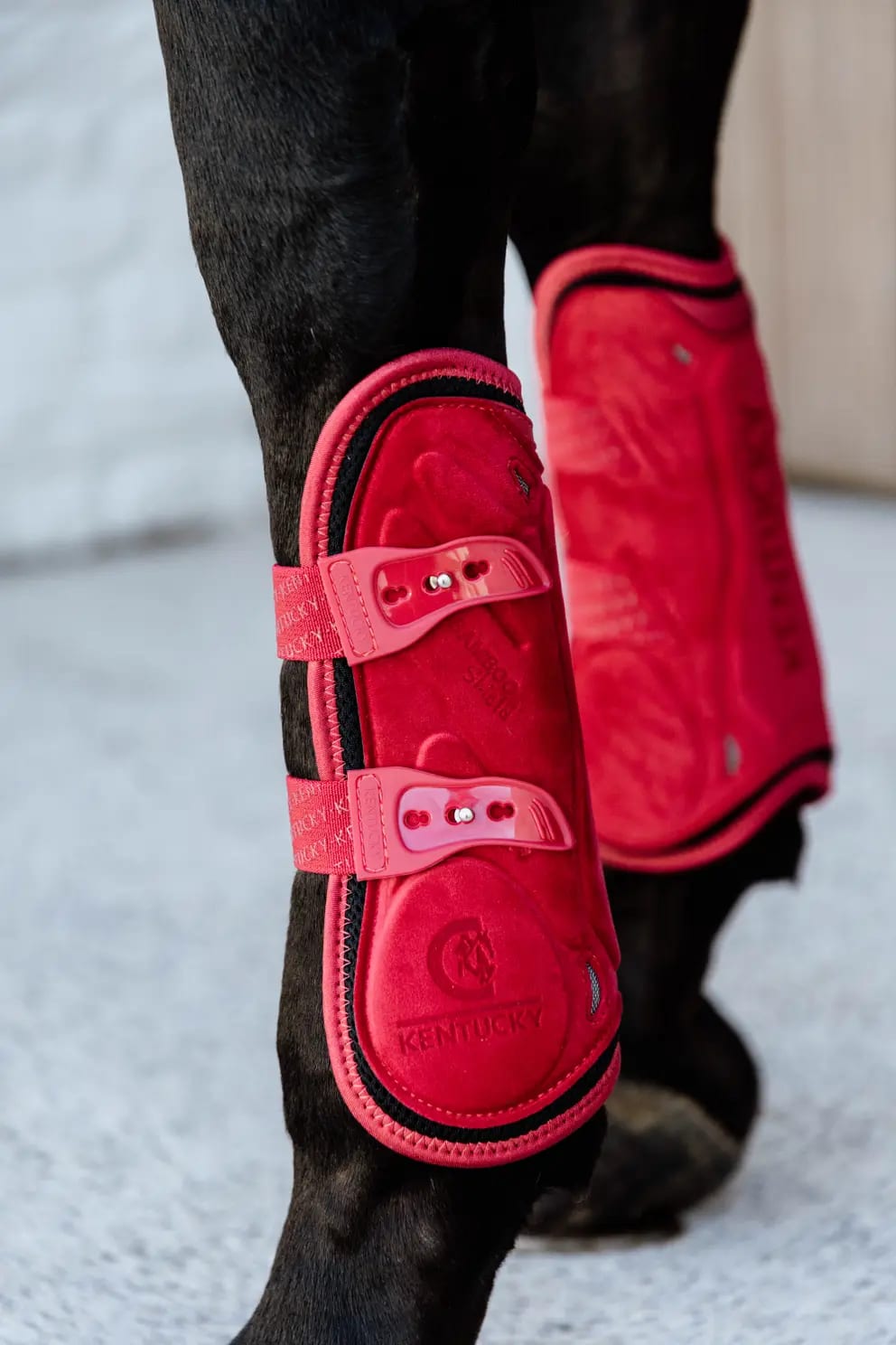 Kentucky Tendon Boots Bamboo Elastic Velvet - Løwenborg - Kentucky Horsewear