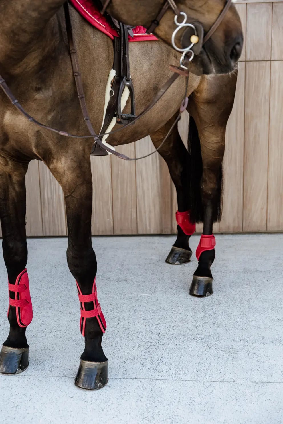 Kentucky Tendon Boots Bamboo Elastic Velvet - Løwenborg - Kentucky Horsewear