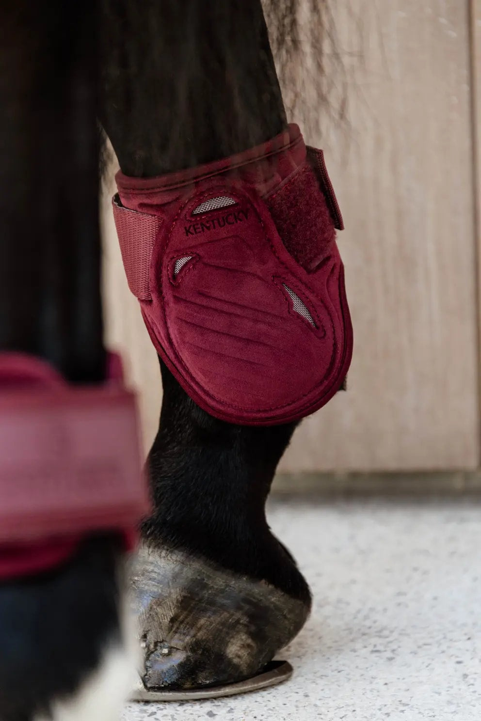 Kentucky Young Horse Fetlock Boots Velvet