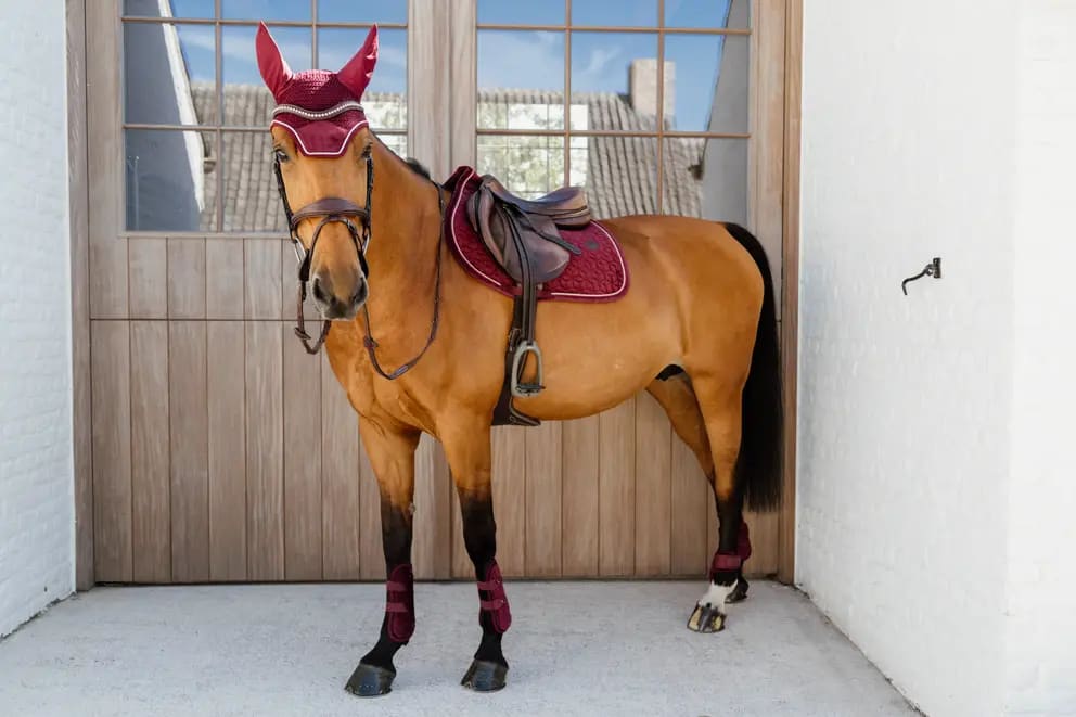 Kentucky Young Horse Fetlock Boots Velvet - Løwenborg - Kentucky Horsewear
