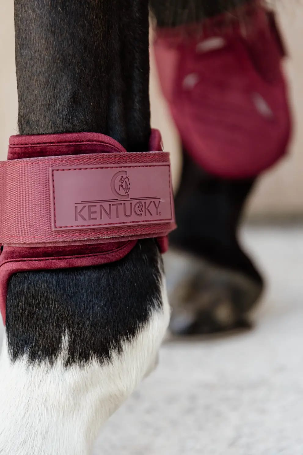 Kentucky Young Horse Fetlock Boots Velvet - Løwenborg - Kentucky Horsewear