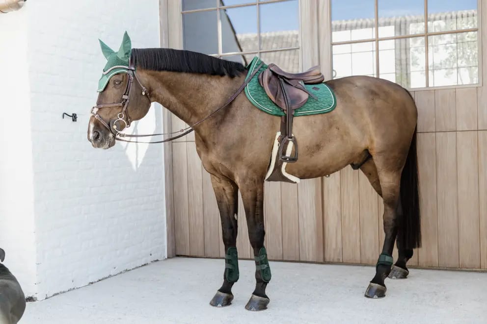 Kentucky Young Horse Fetlock Boots Velvet - Løwenborg - Kentucky Horsewear