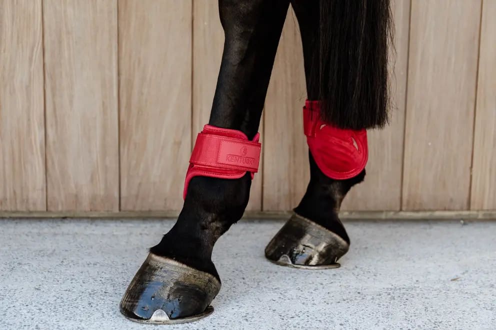 Kentucky Young Horse Fetlock Boots Velvet - Løwenborg - Kentucky Horsewear