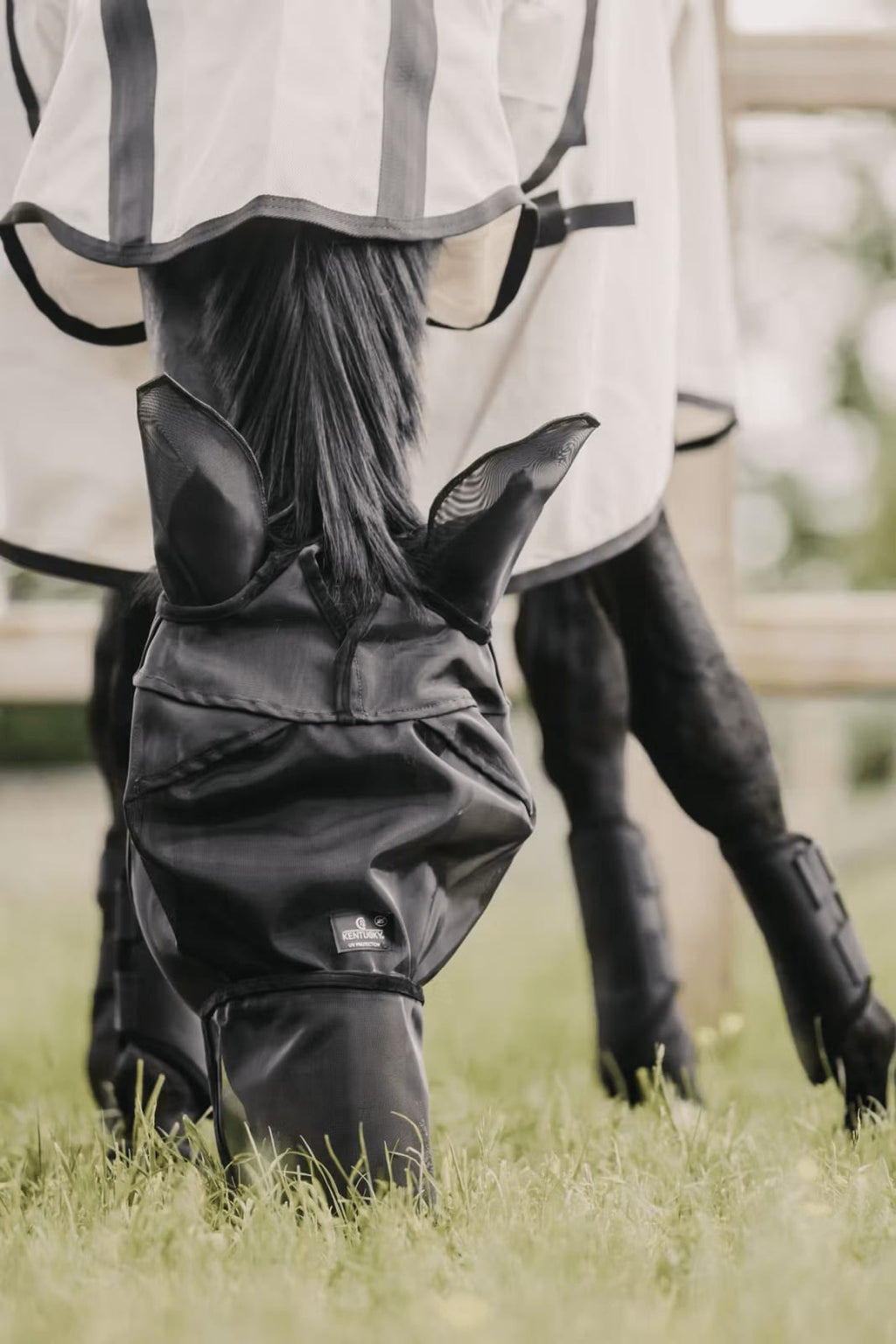 Kentucky Fly Mask Classic w/Ears & Nose - Løwenborg - Kentucky Horsewear