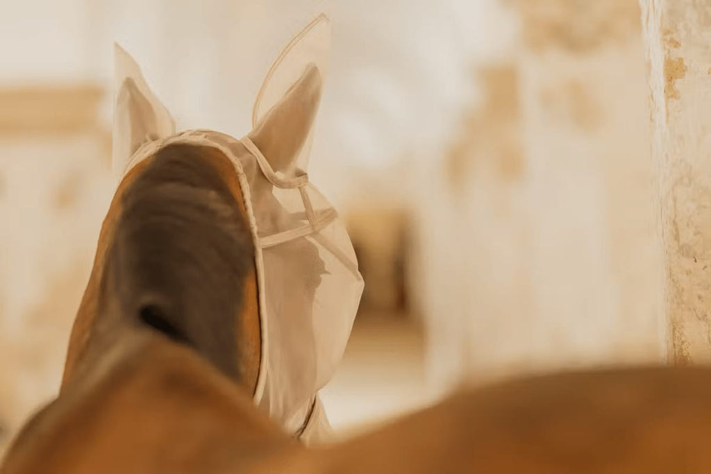 Kentucky Fly Mask Classic w/Ears & Nose - Løwenborg - Kentucky Horsewear