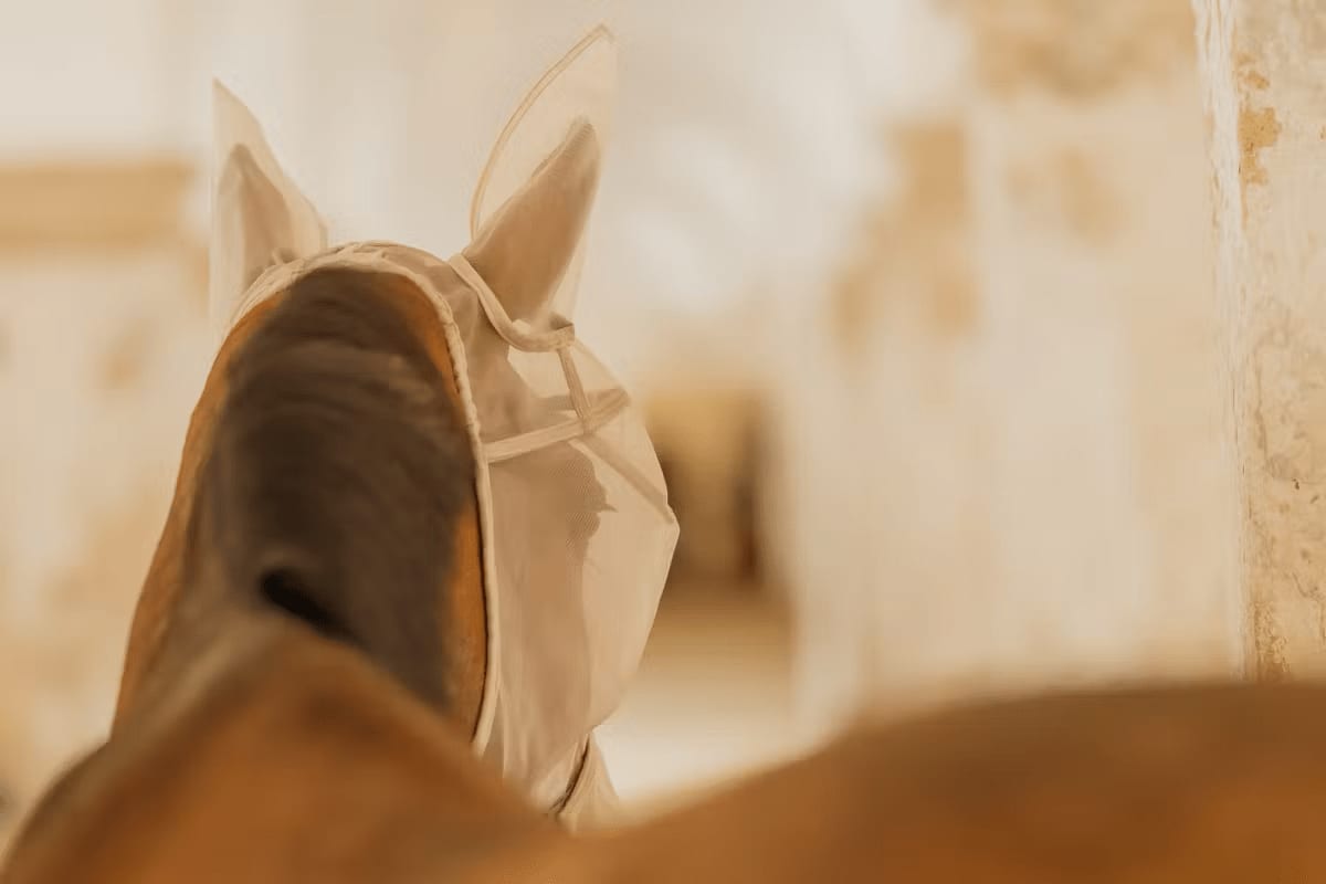 Kentucky Fly Mask Classic w/Ears & Nose - Løwenborg - Kentucky Horsewear