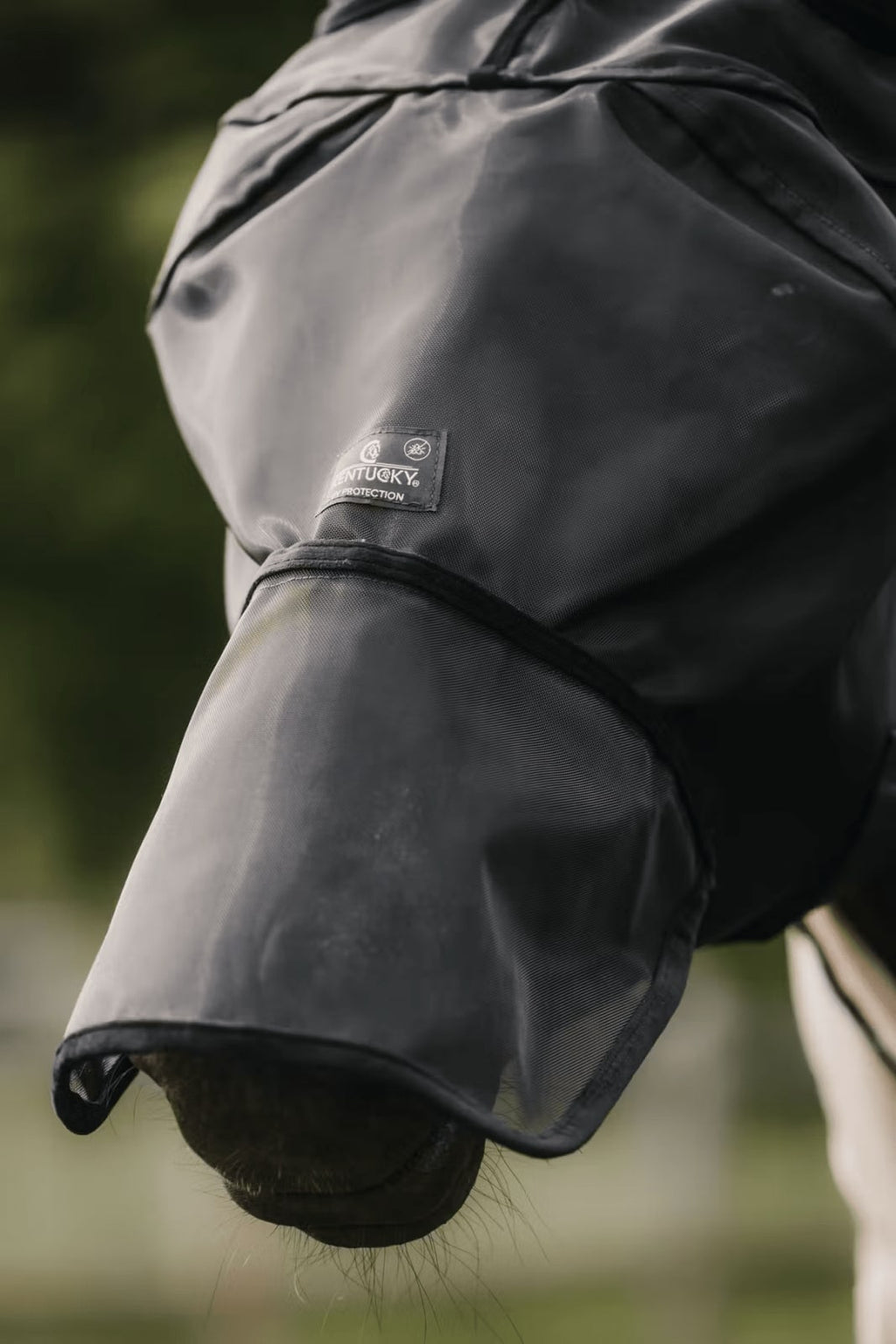 Kentucky Fly Mask Classic w/Ears & Nose - Løwenborg - Kentucky Horsewear