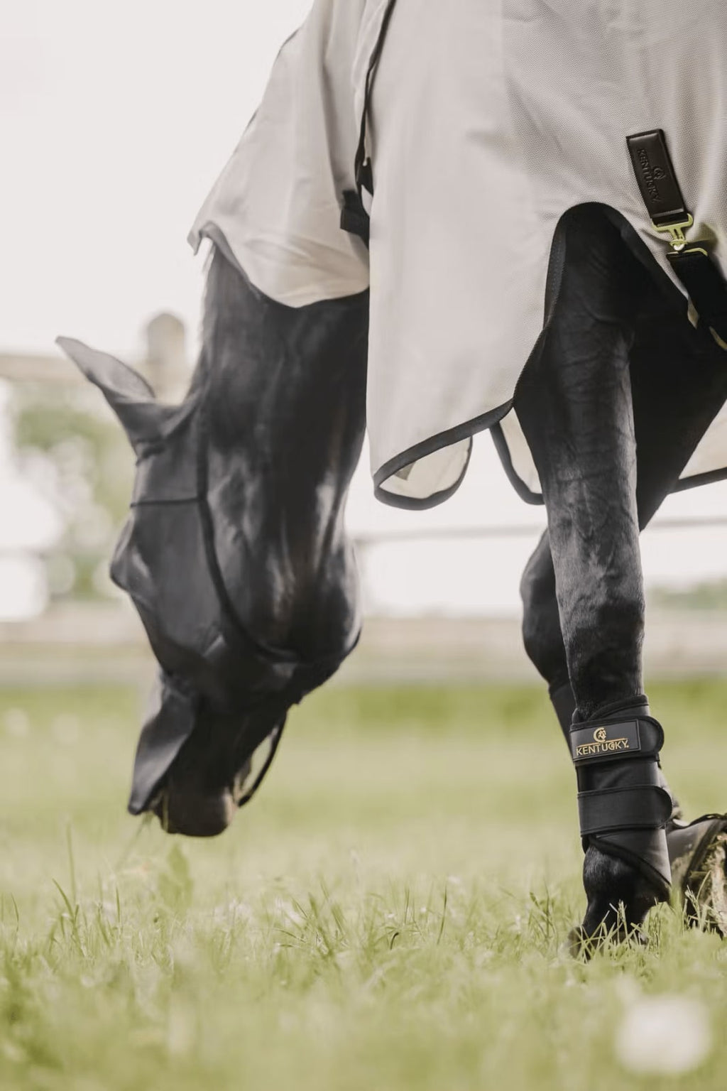 Kentucky Fly Mask Classic w/Ears & Nose - Løwenborg - Kentucky Horsewear