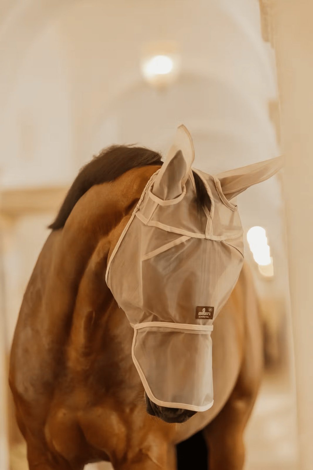 Kentucky Fly Mask Classic w/Ears & Nose - Løwenborg - Kentucky Horsewear