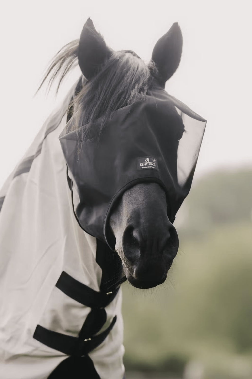 Kentucky Fly Mask Classic wo/Ears - Løwenborg - Kentucky Horsewear