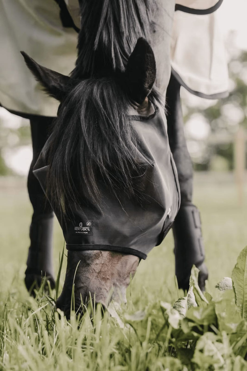 Kentucky Fly Mask Classic wo/Ears - Løwenborg - Kentucky Horsewear