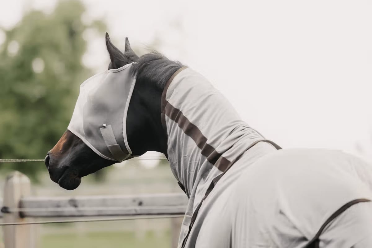 Kentucky Fly Mask Classic wo/Ears - Løwenborg - Kentucky Horsewear