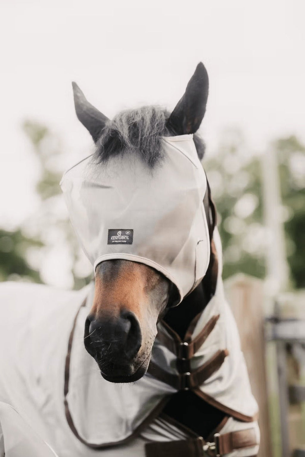 Kentucky Fly Mask Classic wo/Ears - Løwenborg - Kentucky Horsewear