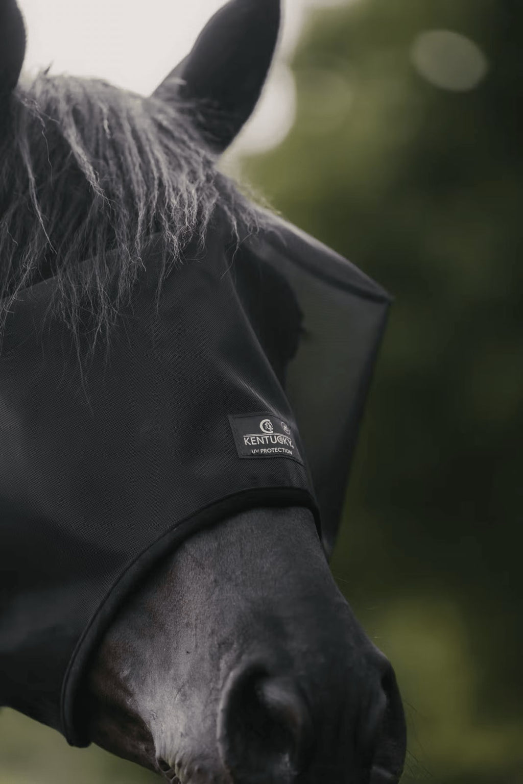 Kentucky Fly Mask Classic wo/Ears - Løwenborg - Kentucky Horsewear