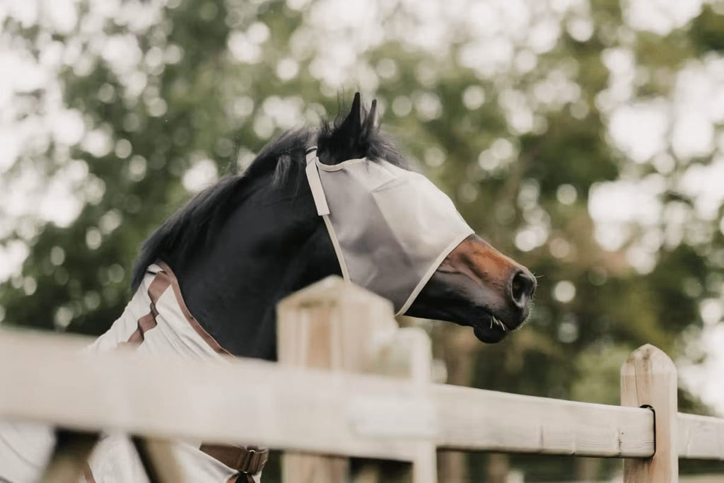 Kentucky Fly Mask Classic wo/Ears - Løwenborg - Kentucky Horsewear