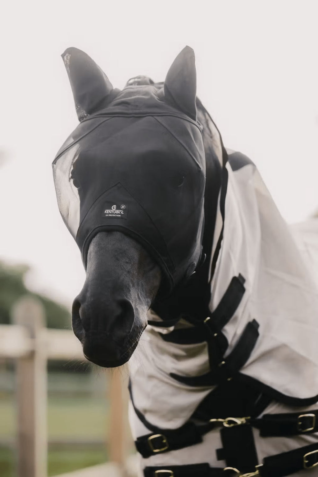 Kentucky Fly Mask Classic w/Ears - Løwenborg - Kentucky Horsewear