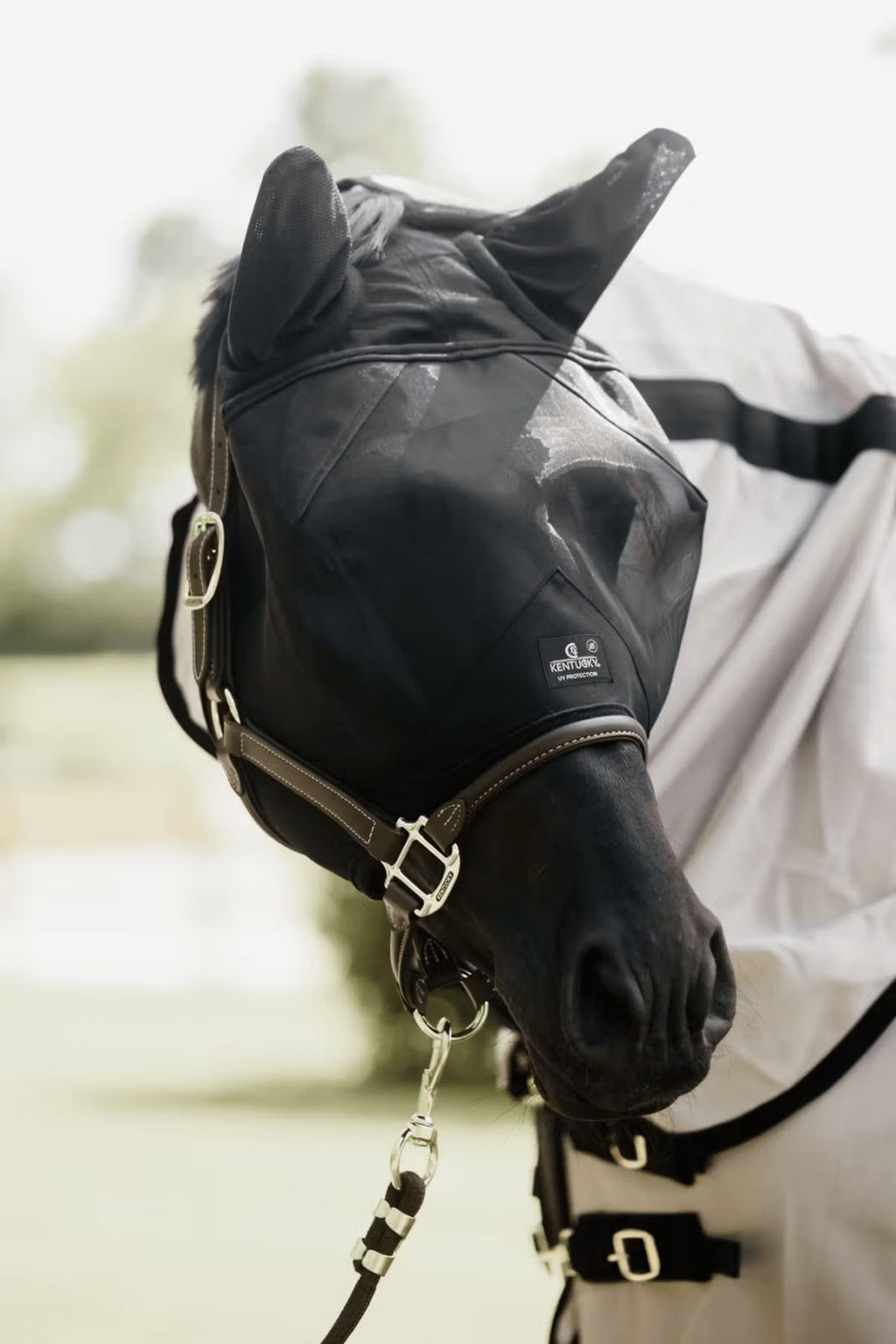 Kentucky Fly Mask Classic w/Ears - Løwenborg - Kentucky Horsewear