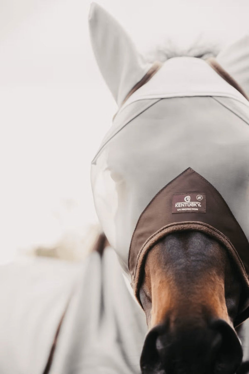 Kentucky Fly Mask Classic w/Ears - Løwenborg - Kentucky Horsewear