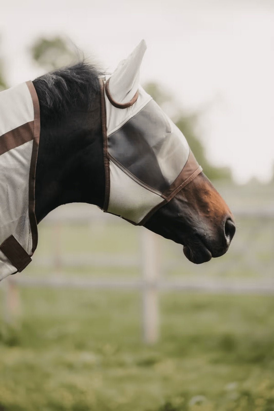 Kentucky Fly Mask Classic w/Ears - Løwenborg - Kentucky Horsewear
