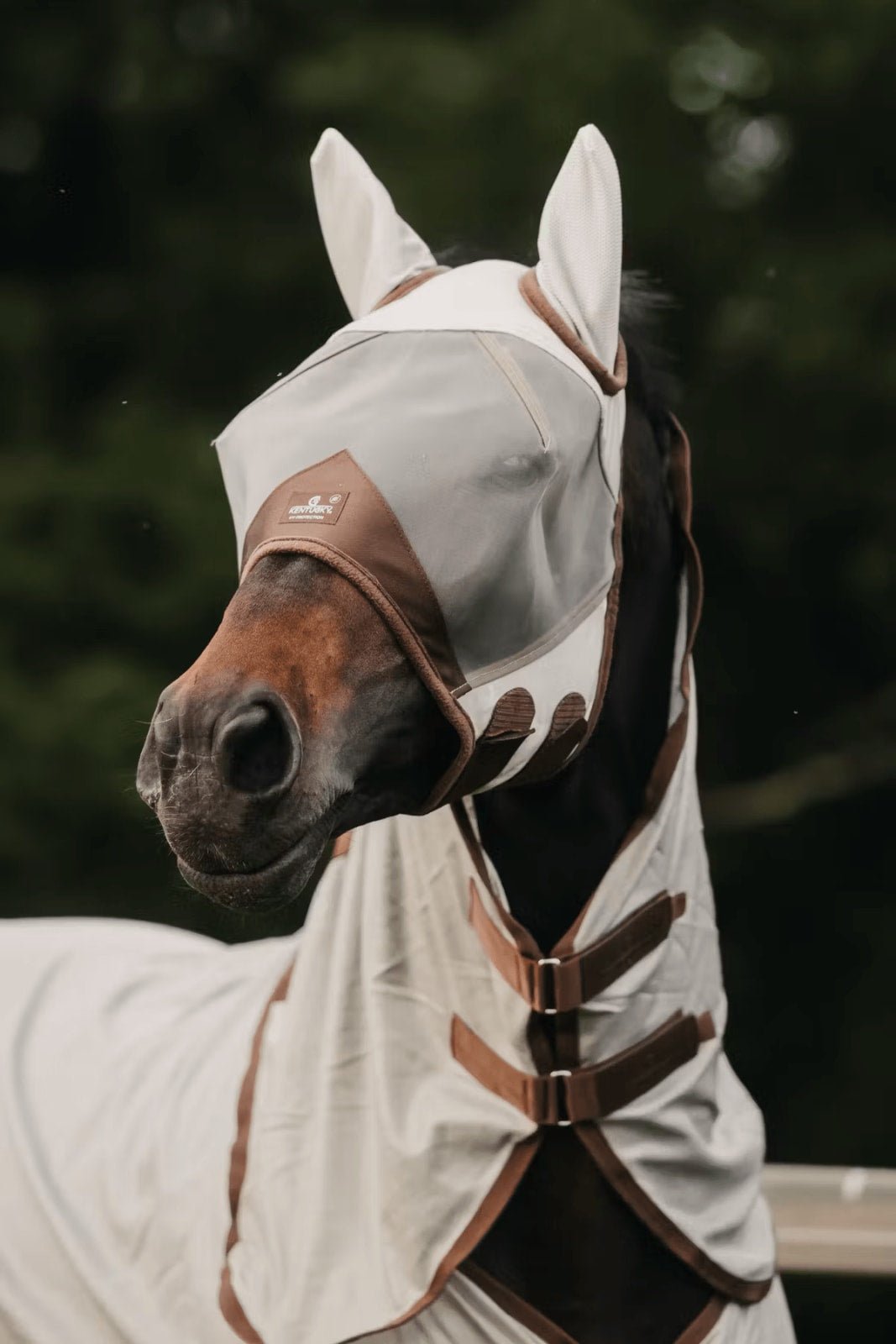 Kentucky Fly Mask Classic w/Ears - Løwenborg - Kentucky Horsewear