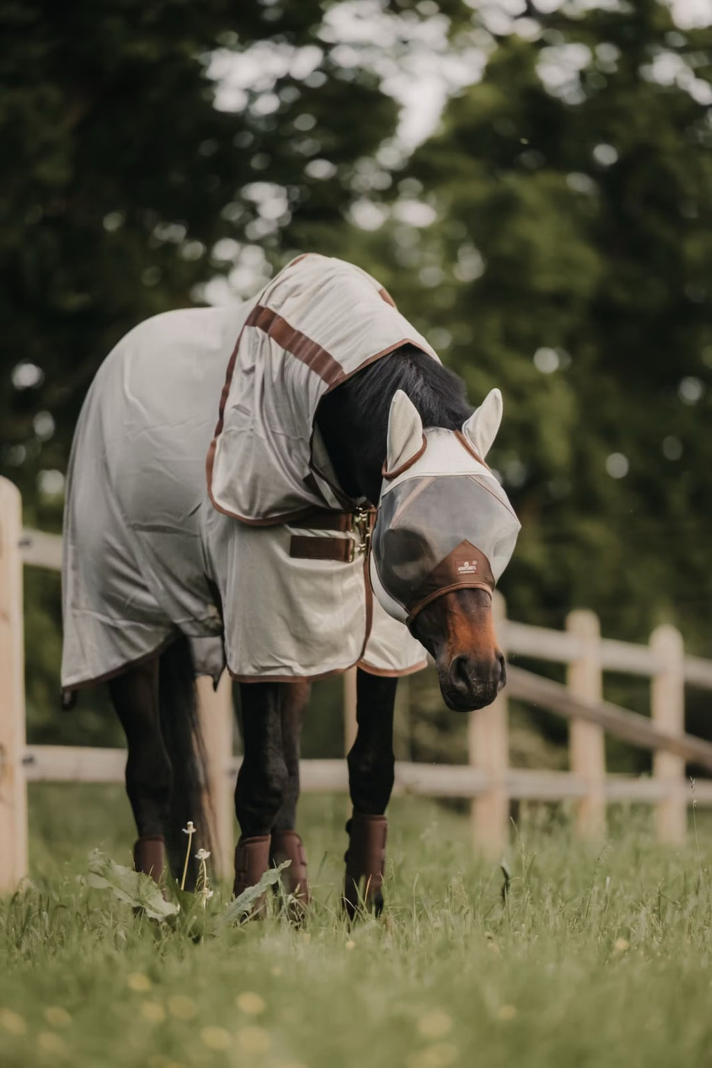 Kentucky Mesh Fly Rug Classic - Løwenborg - Kentucky Horsewear