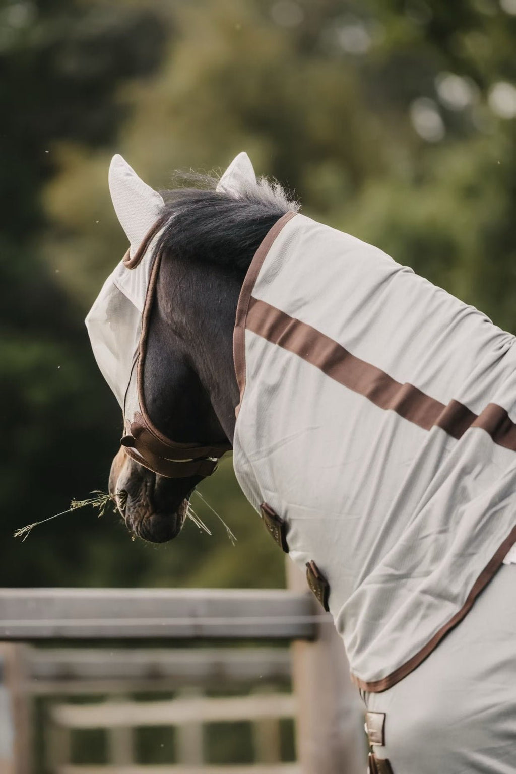 Kentucky Mesh Fly Rug Classic - Løwenborg - Kentucky Horsewear