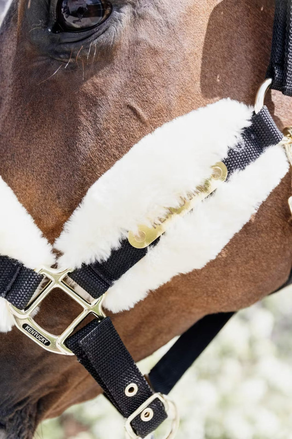 Kentucky Sheepskin Nylon Halter Soft - Løwenborg - Kentucky Horsewear