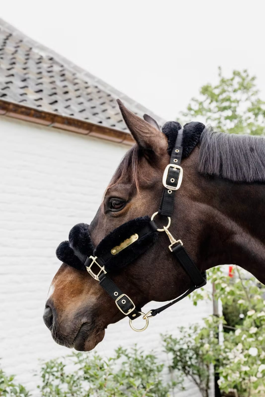 Kentucky Sheepskin Nylon Halter Soft - Løwenborg - Kentucky Horsewear