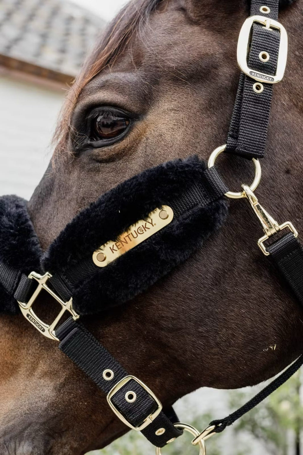 Kentucky Sheepskin Nylon Halter Soft - Løwenborg - Kentucky Horsewear
