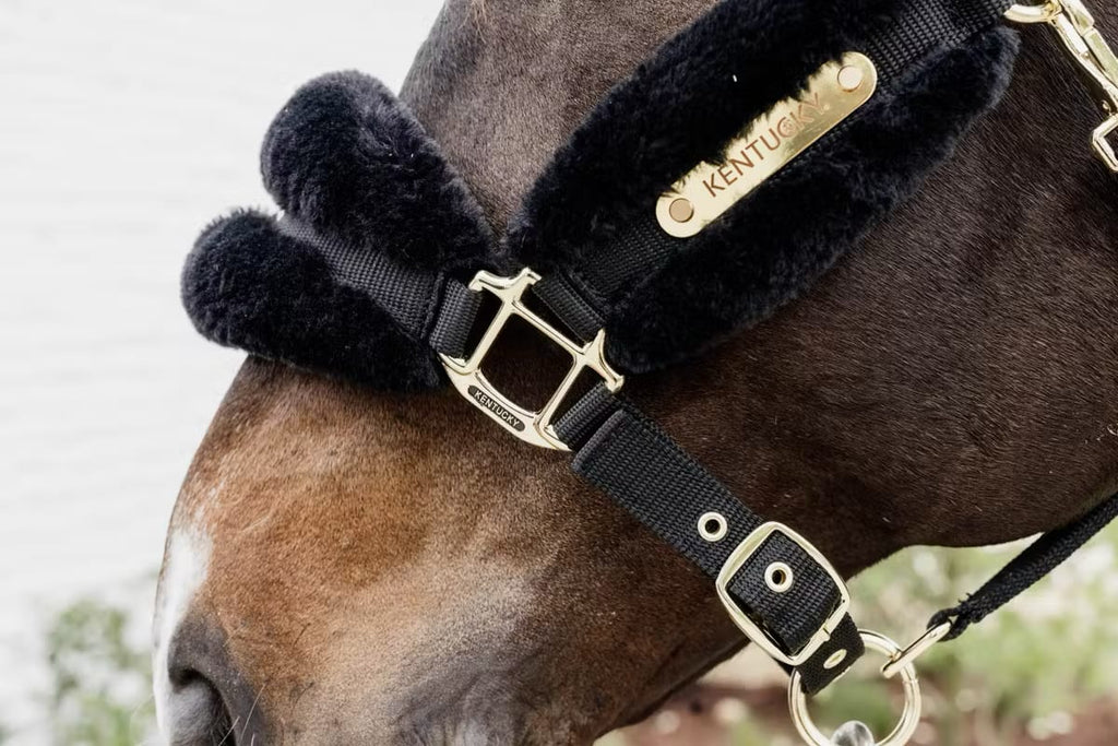 Kentucky Sheepskin Nylon Halter Soft - Løwenborg - Kentucky Horsewear