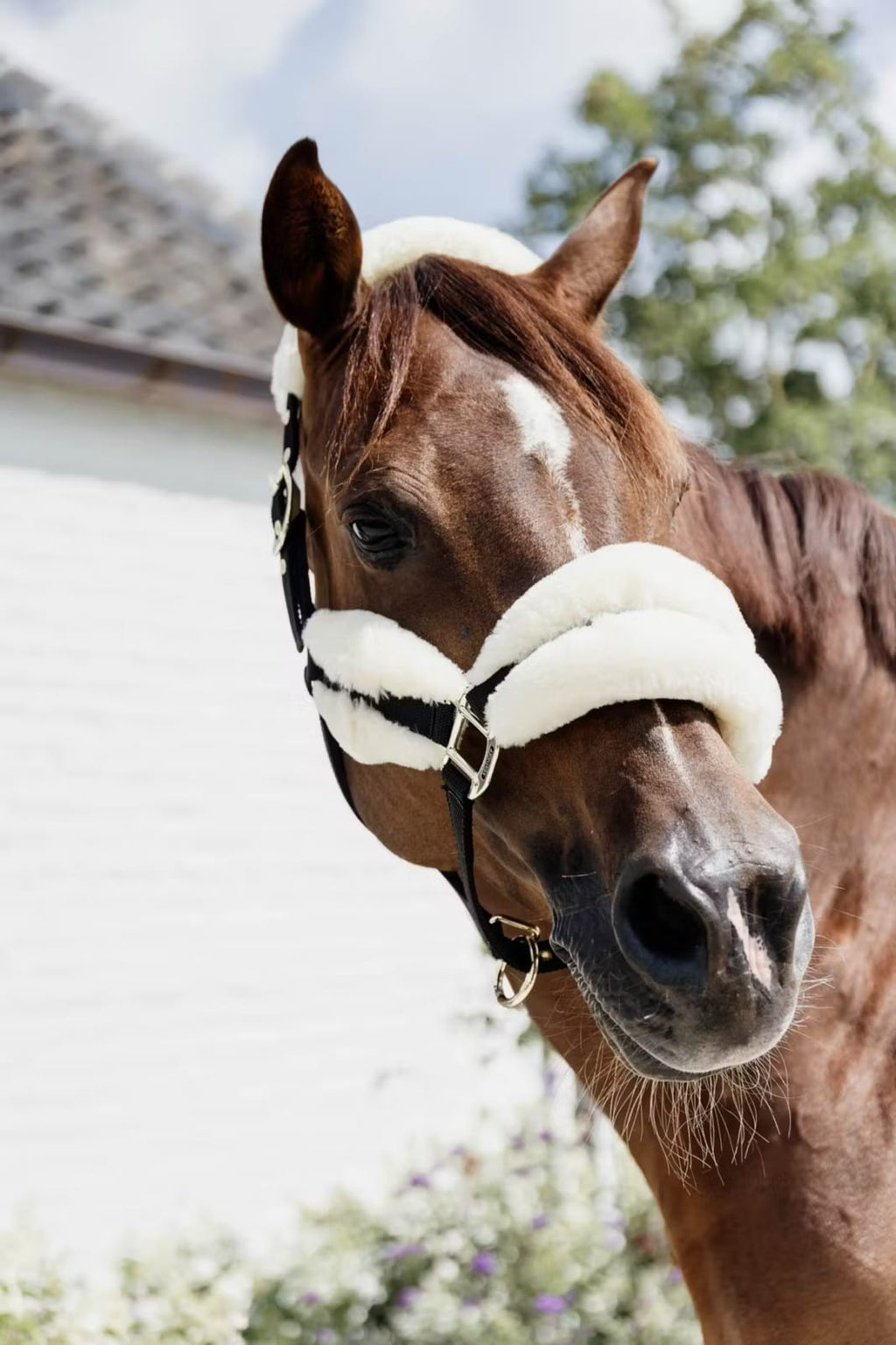 Kentucky Sheepskin Nylon Halter Soft - Løwenborg - Kentucky Horsewear