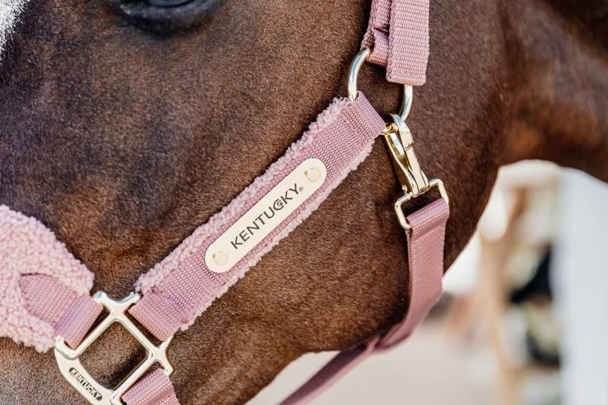 Kentucky Teddy Fleece Halter - Løwenborg - Kentucky Horsewear