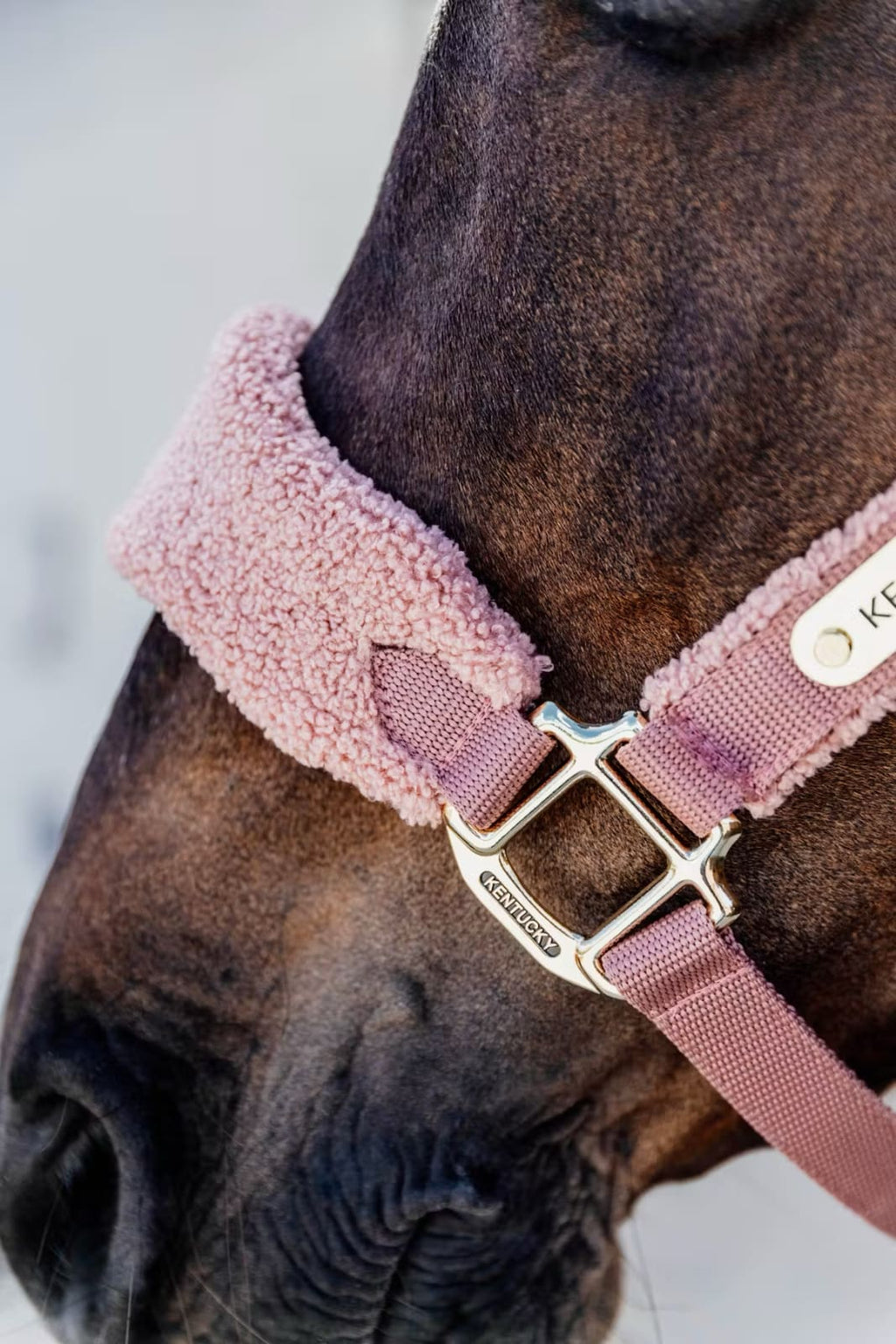Kentucky Teddy Fleece Halter - Løwenborg - Kentucky Horsewear
