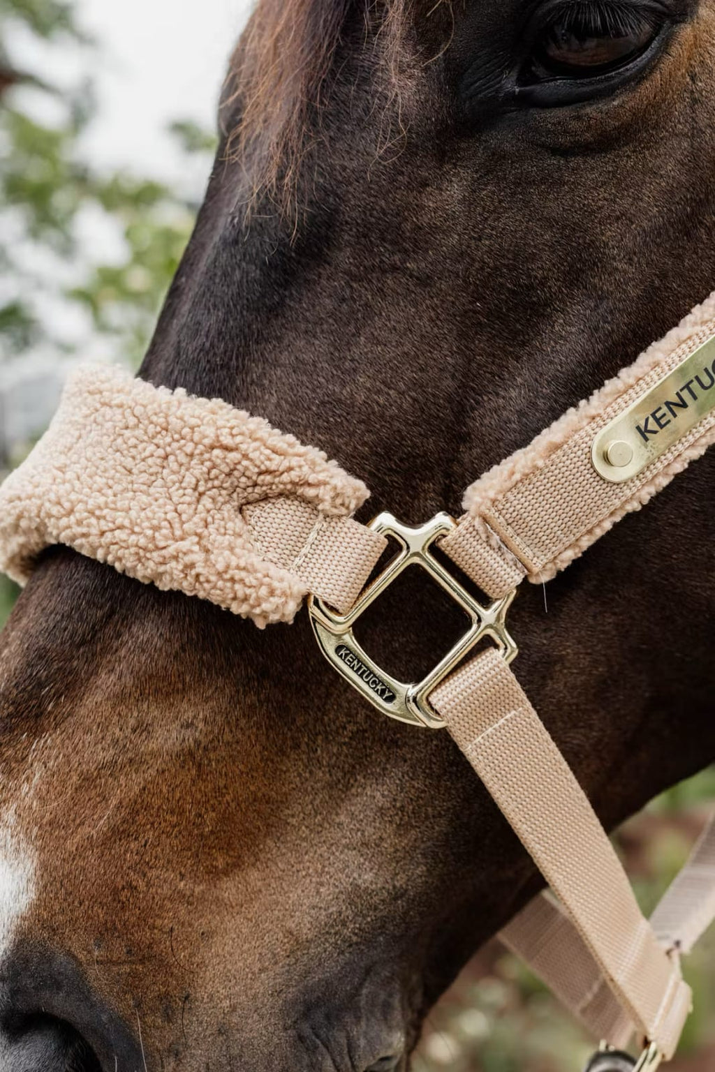 Kentucky Teddy Fleece Halter - Løwenborg - Kentucky Horsewear