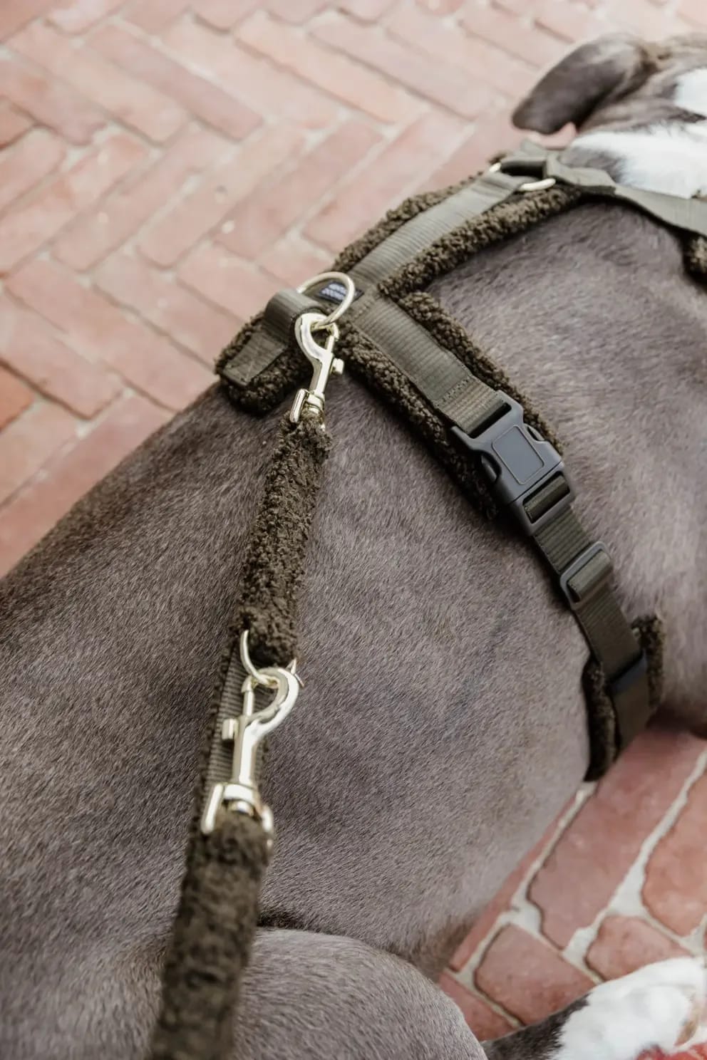 Kentucky Dog Harness Active Teddy Fleece - Løwenborg - Kentucky Dogwear