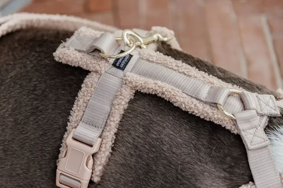 Kentucky Dog Harness Active Teddy Fleece - Løwenborg - Kentucky Dogwear