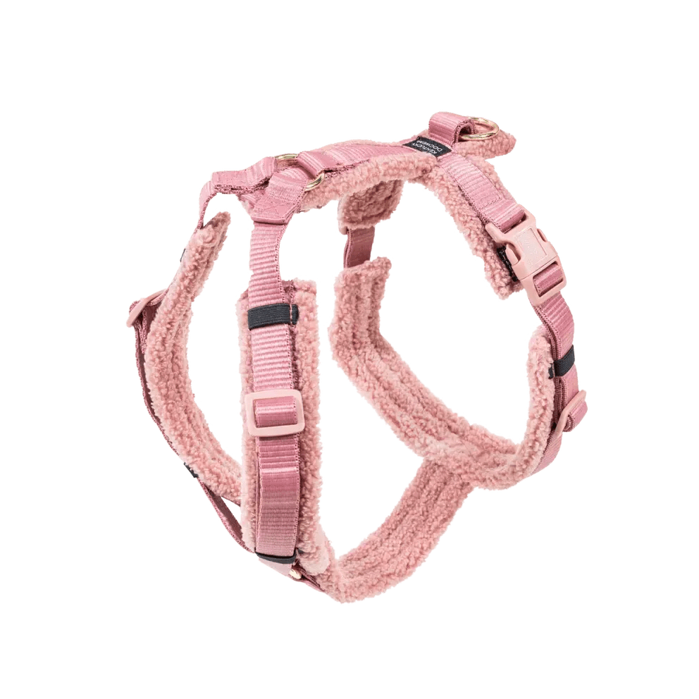 Kentucky Dog Harness Active Teddy Fleece - Løwenborg - Kentucky Dogwear