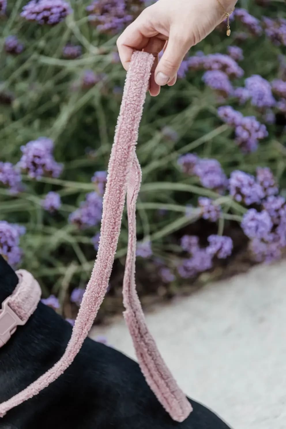 Kentucky Dog Lead Teddy Fleece 120cm