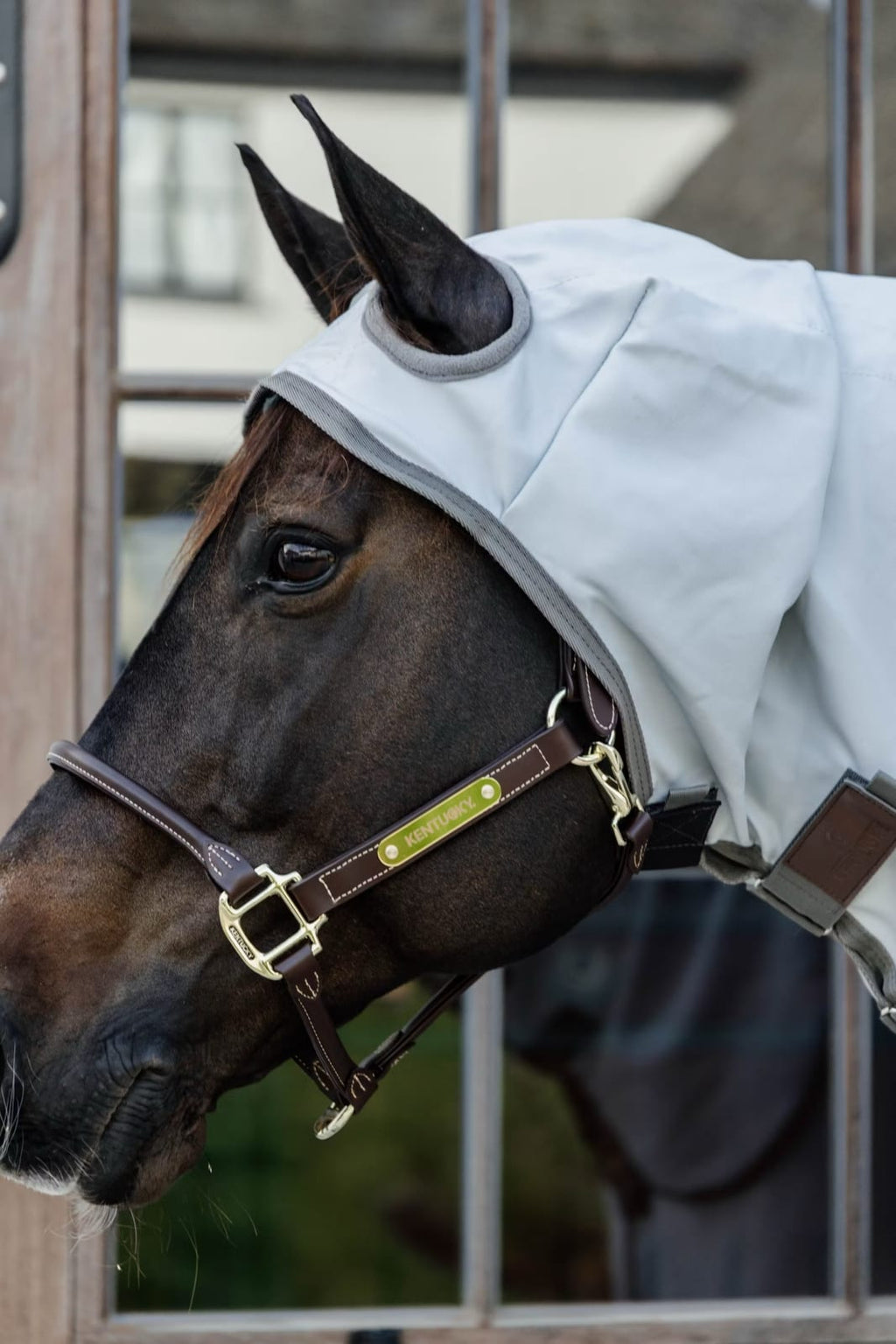 Kentucky Eczema Rug w/Hood - Løwenborg - Kentucky Horsewear